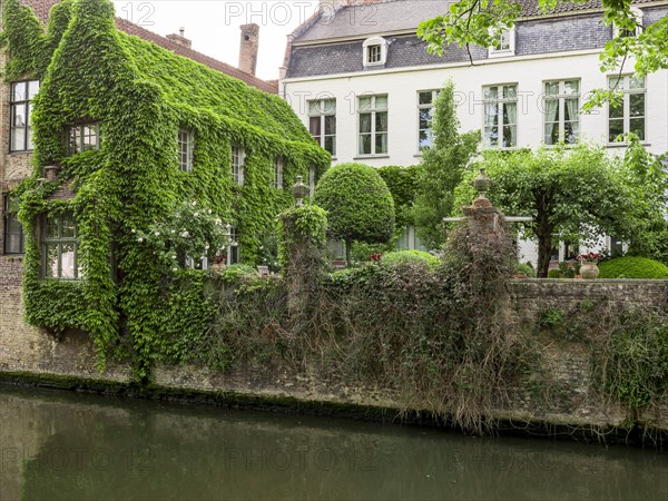 The house overgrown with vines behind the Church of Our Dear Lady