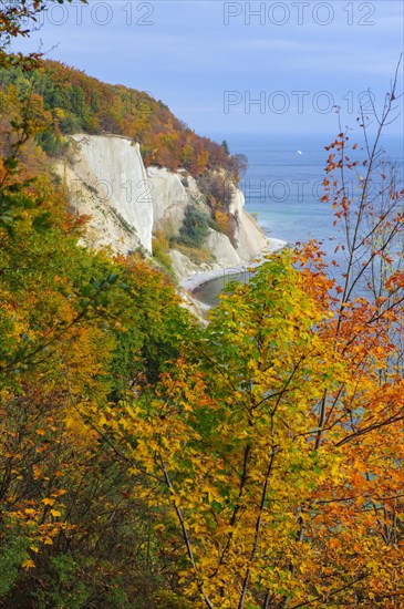 View of the chalk cliffs in the Jasmund National Park on Ruegen