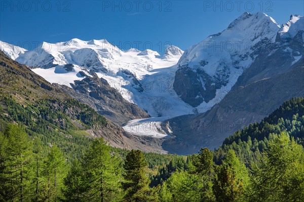 Morteratsch Valley with Bellavista