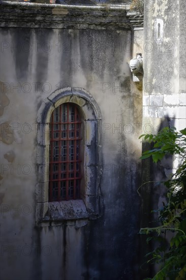 Side Window and Gargoyle