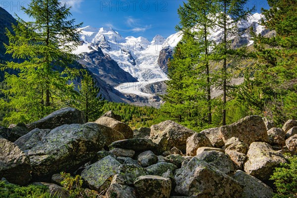 Morteratsch Valley with Bellavista and Morteratsch Glacier