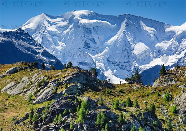 Piz Palue above the Bernina Valley