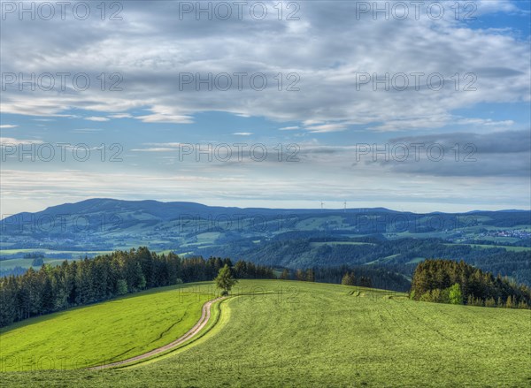 May landscape with views of Kandel and St