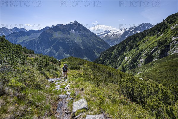 Hiker on hiking trail