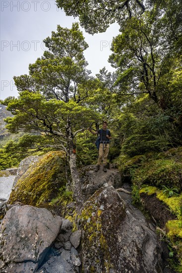 Hiker on Hiking Trail