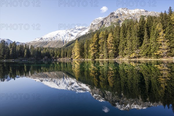 Autumnal larch forest at Obernberger See
