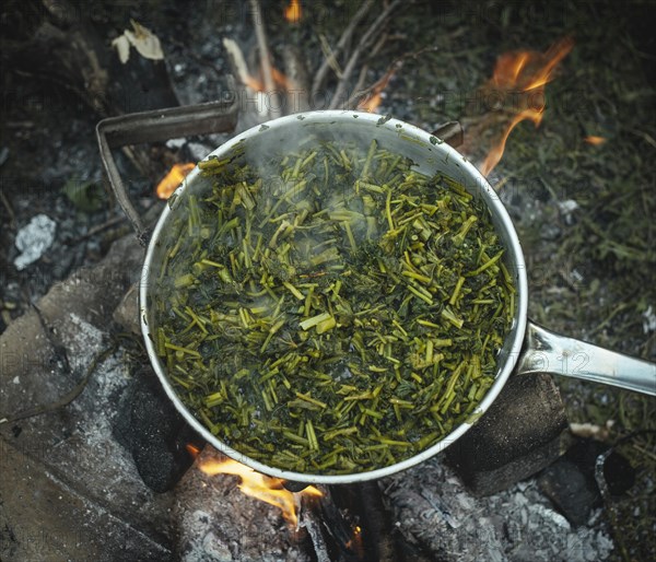 Wild vegetables in a pot around the campfire of a family of refugees in the camp Idomeni