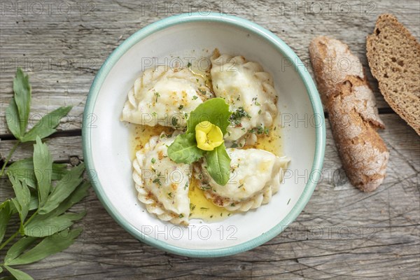 Carinthian noodles filled with herbs and cream cheese