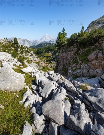 Karst landscape