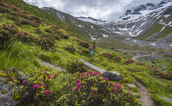 Wanderin im Tal bei schlechtem Wetter