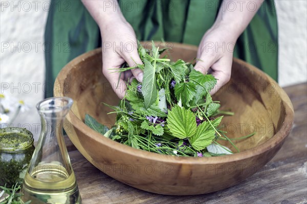 Wild herb salad