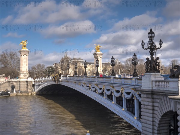 Pont Alexandre III Bridge over the Seine