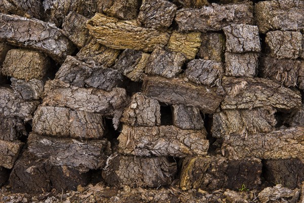 Peat sods stacked up in a bog