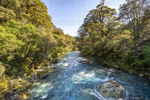 Hollyford River