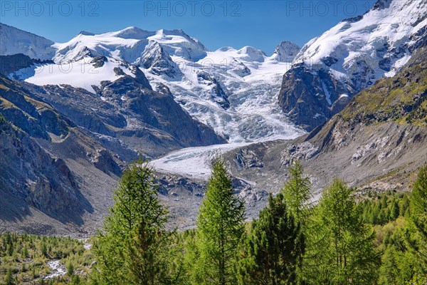 Morteratsch Valley with Bellavista and Morteratsch Glacier