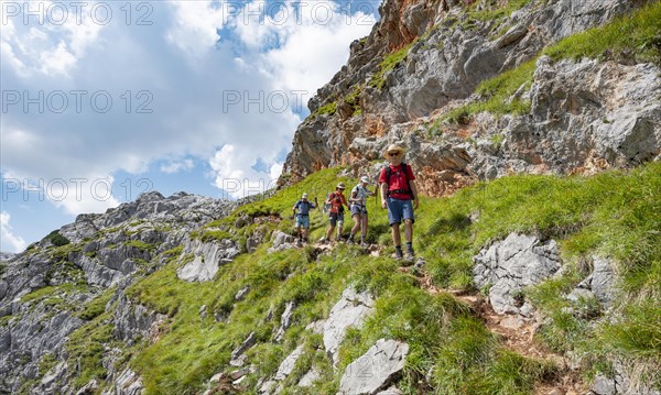 Four hikers on a hiking trail