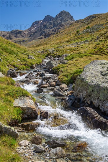 Mountain stream in the Languard Valley