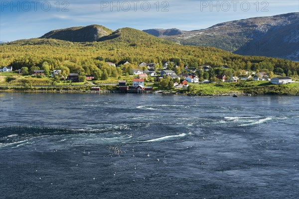 Small settlement on a fjord