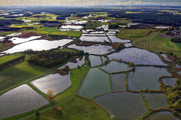 Carp pond