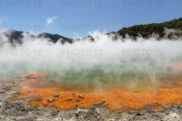 Champagne Pool