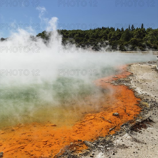 Champagne Pool