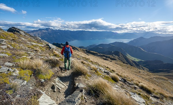 Hiker on the hiking trail to Ben Lomond