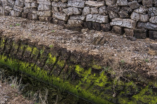 Peat sods stacked up in a bog