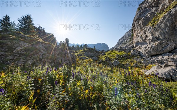 Karst landscape