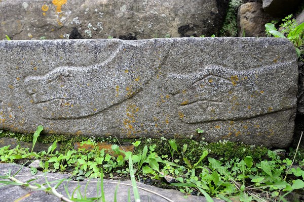 Snake representation on a step in the ruins of Chavin de Huantar