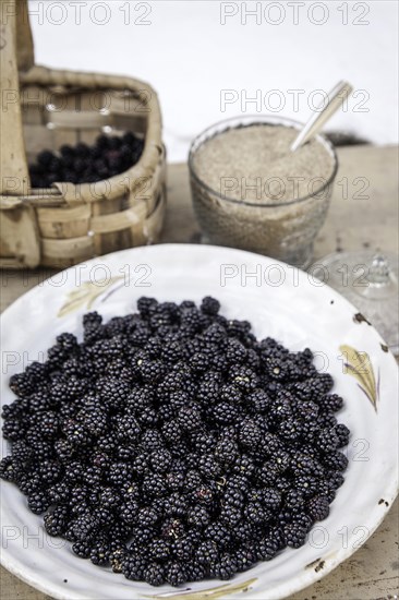 Wild blackberries