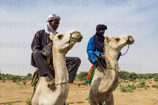 Tuaregs on their camels