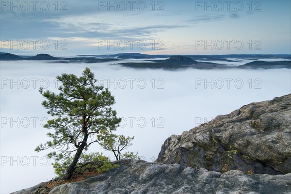 Fog in the Elbe Valley