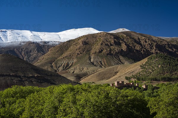 Mountain landscape with snow-covered mountain