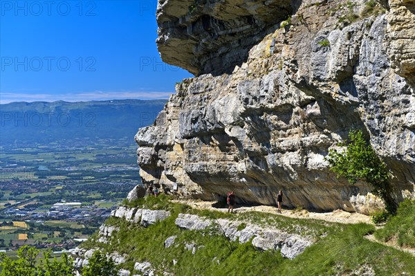 Narrow balcony path La Corraterie with panoramic view of the Geneva basin on the way to the summit Mont Saleve