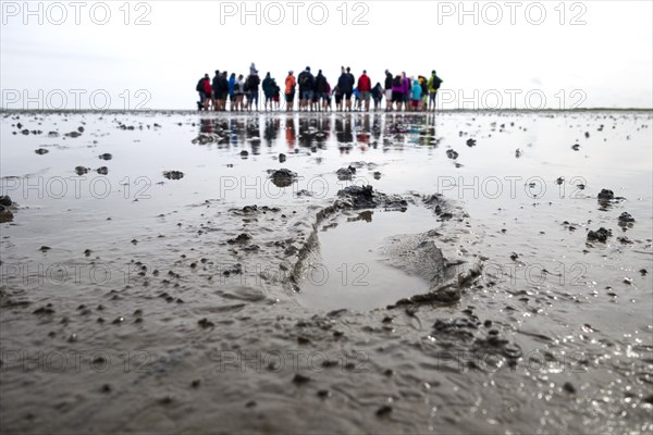 Footprints in the mudflats