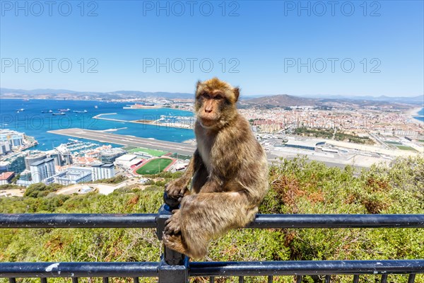 Overview Gibraltar Airport