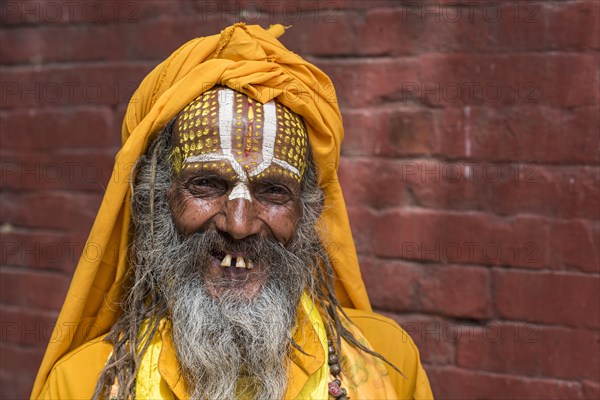 Portrait of a Hindu Sadhu
