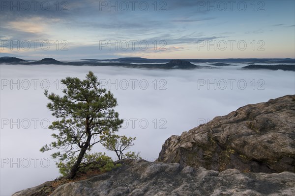 Fog in the Elbe Valley