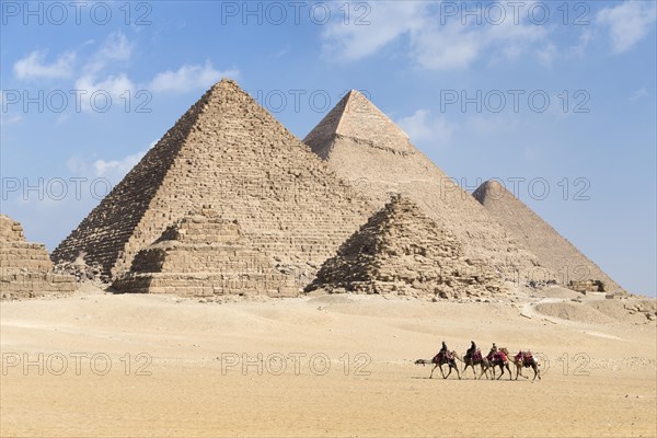 Camel riding at the pyramid complex