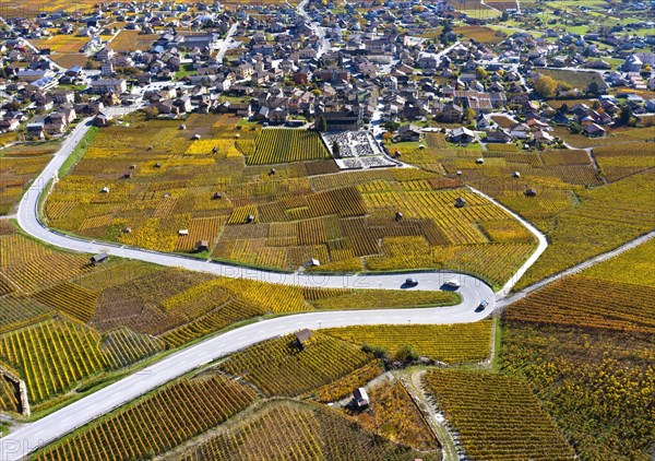Hairpin bend of a country road runs through the autumn vineyards in the Valais wine growing region of Leytron