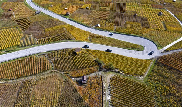 Hairpin bend of a country road runs through the autumn vineyards in the Valais wine growing region of Leytron