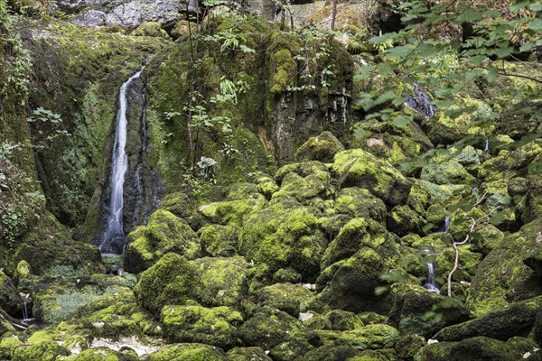 Small waterfall on moss-covered stones