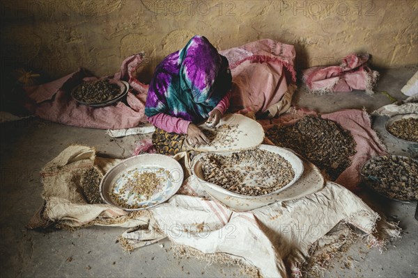 Frankincense dealer