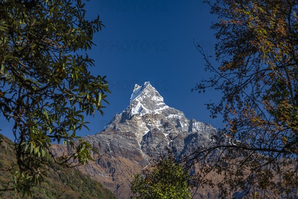 Machapuchare