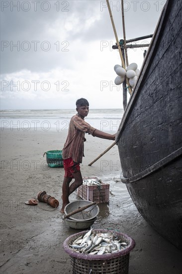 Rohingya