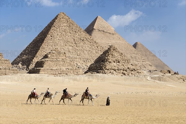 Camel riding at the pyramid complex