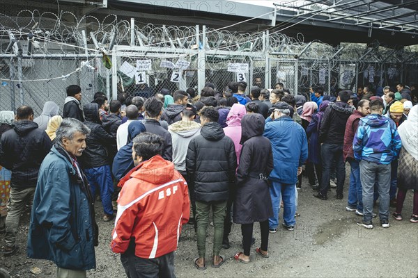 Snake in the camp of Moria