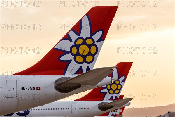 Airbus A340 aircraft Tails of Edelweiss at Zurich Airport