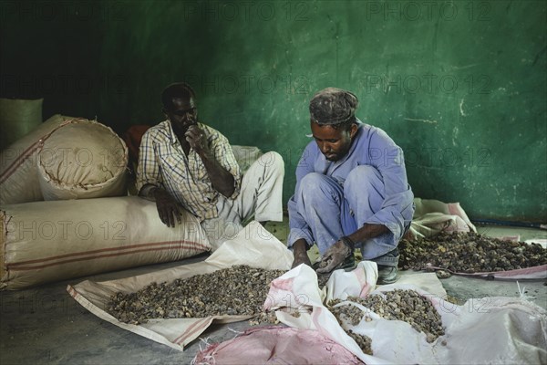 Incense shop premises