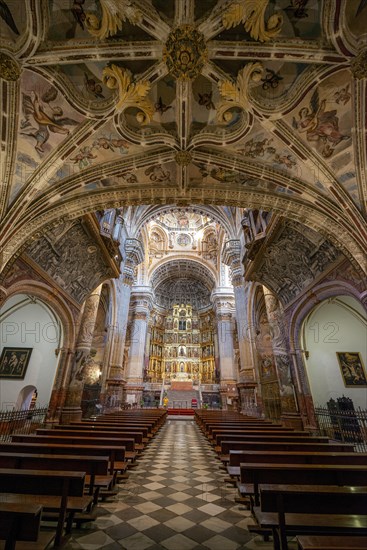 Nave